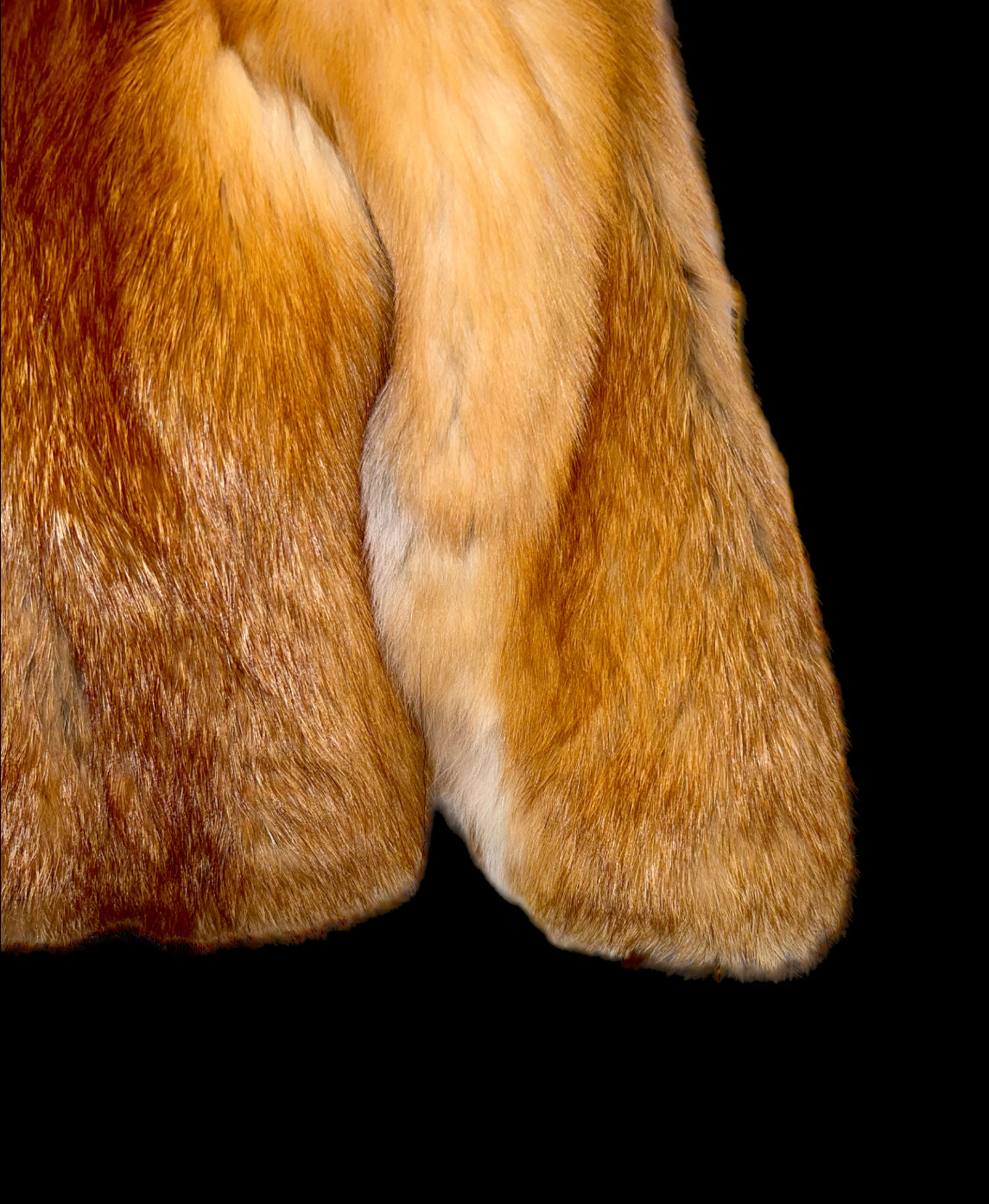 Children’s Red Fox Fur